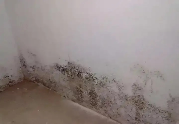 防水≠防滲！80%的人都弄錯(cuò)了！